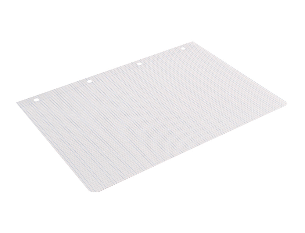 RECAMBIO LIDERPAPEL A4 PAUTAGUIA 100 HOJAS 75 G/M2 CUADRICULADO PAUTADO 2,5MM CON MARGEN 4 TALADROS