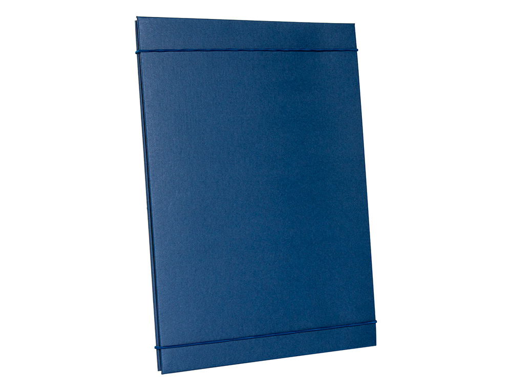 CARPETA PROYECTOS LIDERPAPEL EXTENSIBLE GOFRADA FOLIO