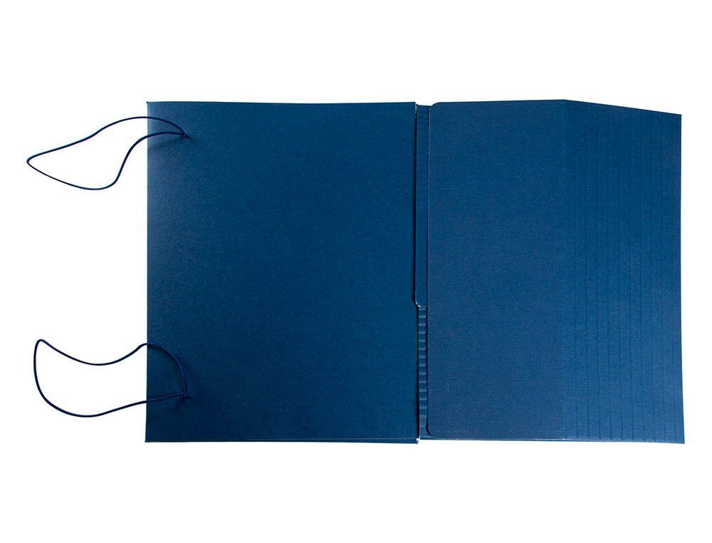 CARPETA PROYECTOS LIDERPAPEL EXTENSIBLE GOFRADA FOLIO