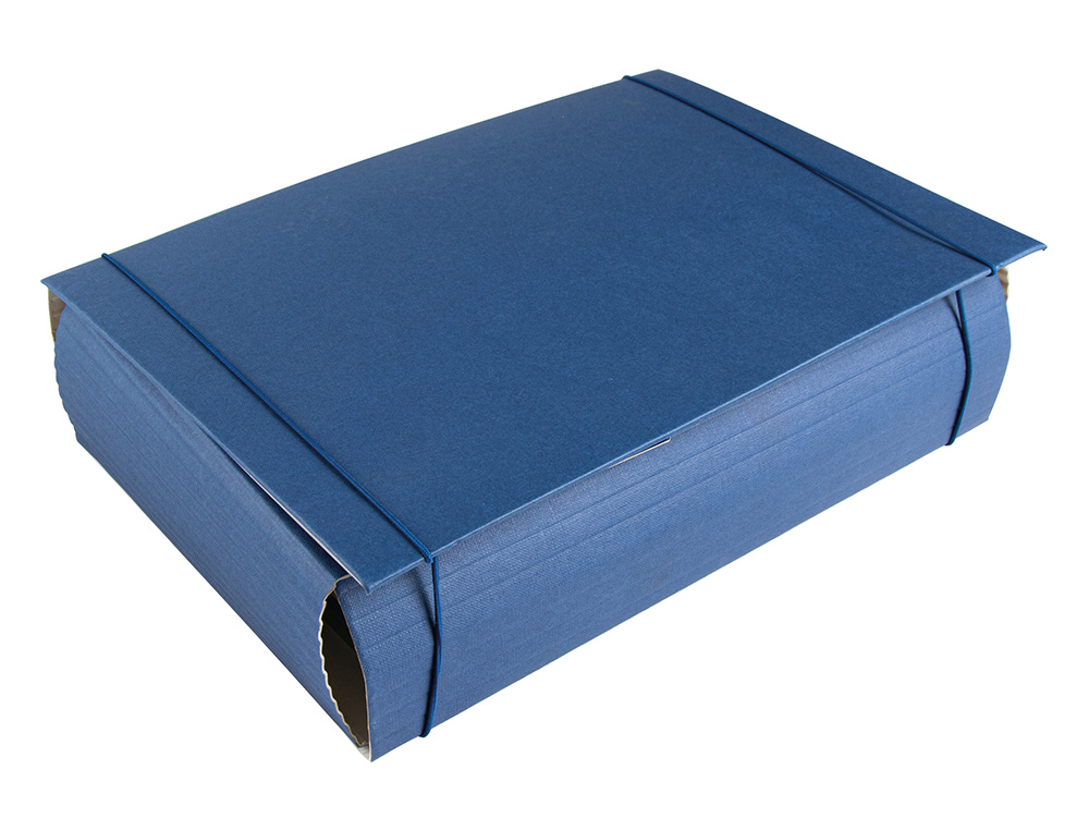 CARPETA PROYECTOS LIDERPAPEL EXTENSIBLE GOFRADA FOLIO