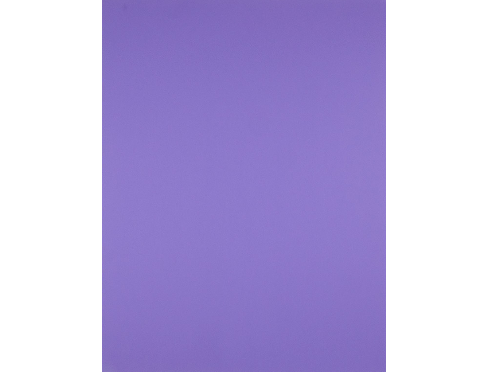 CARTULINA LIDERPAPEL 50X65 CM 240 G/M2 VIOLETA