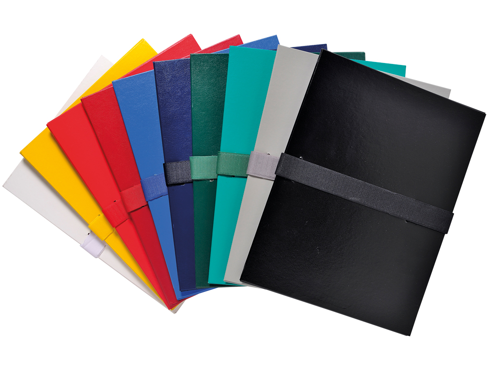 CARPETA DE PROYECTO EXACOMPTA DIN A4 LOMO HASTA 130 MM EXTENSIBLE CON TIRA DE VELCRO COLORES SURTIDOS