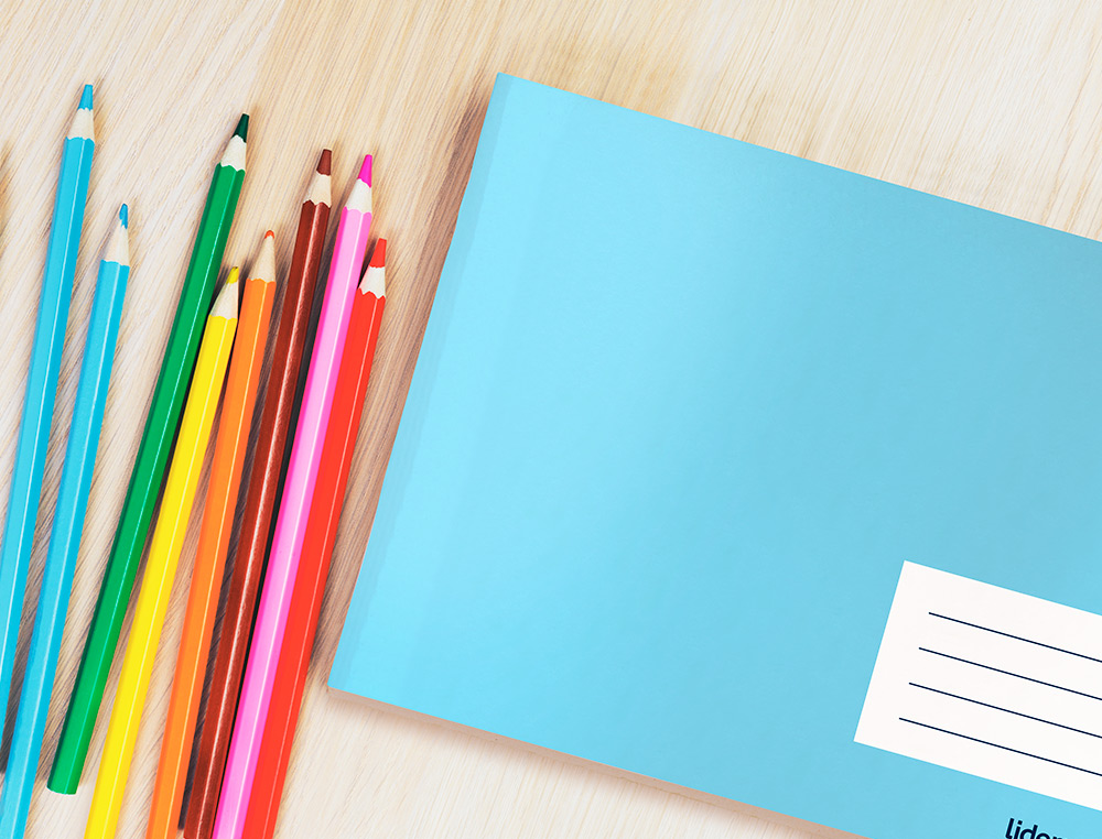 LIBRETA LIDERPAPEL WRITE A5 APAISADA 32H 60G/M2 CUADRO 3 MM CON MARGEN