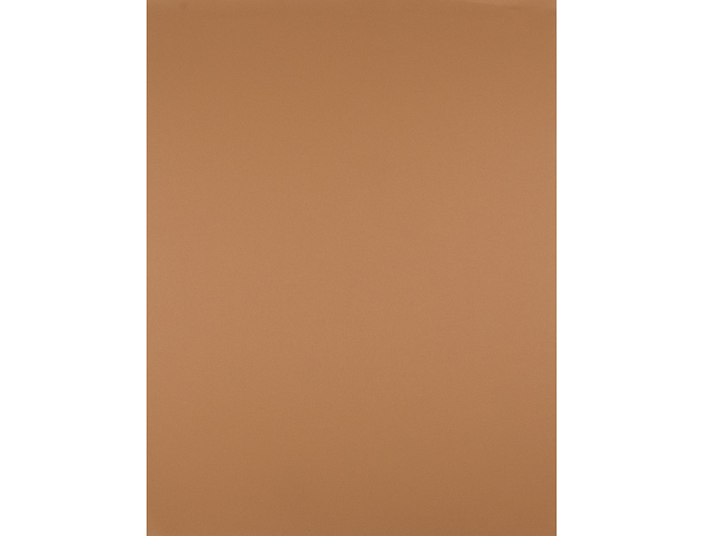 CARTULINA LIDERPAPEL 50X65 CM 240G/M2 MARRON ESCOLAR PAQUETE DE 25 HOJAS