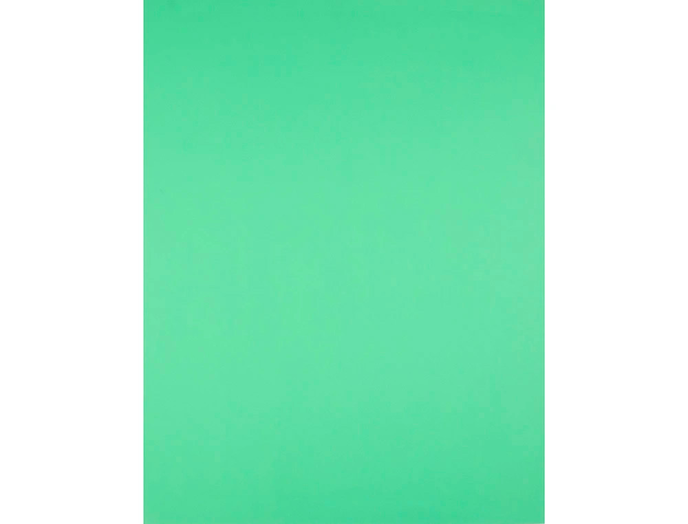 CARTULINA LIDERPAPEL 50X65 CM 240G/M2 VERDE PISTACHO PAQUETE DE 25 HOJAS