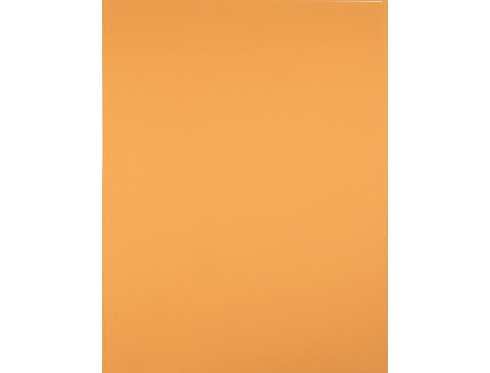 CARTULINA LIDERPAPEL 50X65 CM 180 GR AVELLANA PAQUETE DE 25 HOJAS