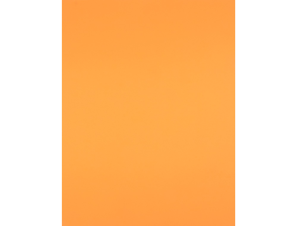 CARTULINA LIDERPAPEL 50X65 CM 180 GR NECTARINA PAQUETE DE 25 HOJAS