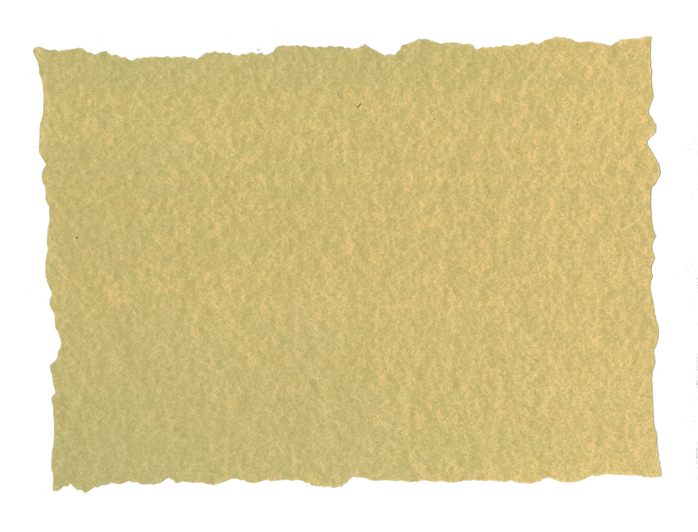 PAPEL PERGAMINO DIN A4 TROQUELADO 125 GR PIEL ELEFANTE COLOR PERGAMINO PAQUETE DE 25 HOJAS