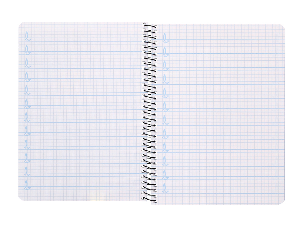 CUADERNO ESPIRAL LIDERPAPEL CUARTO PAUTAGUIA TAPA DURA 80H 75 GR CUADRO PAUTADO 4MM CON MARGEN