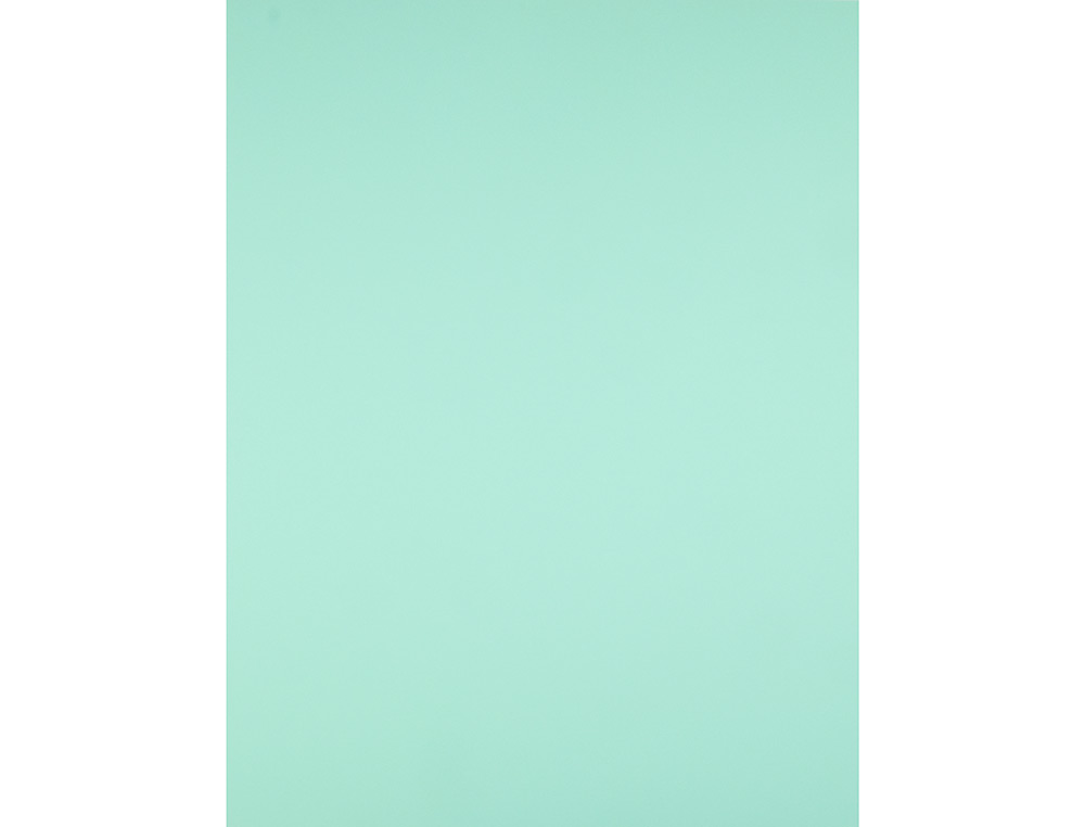 CARTULINA LIDERPAPEL 50X65 CM 180G/M2 VERDE PAQUETE DE 25 HOJAS