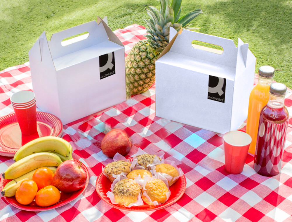 CAJA MALETIN CON ASA Q-CONNECT CARTON PARA ENVIO Y TRANSPORTE 355X120X258 MM