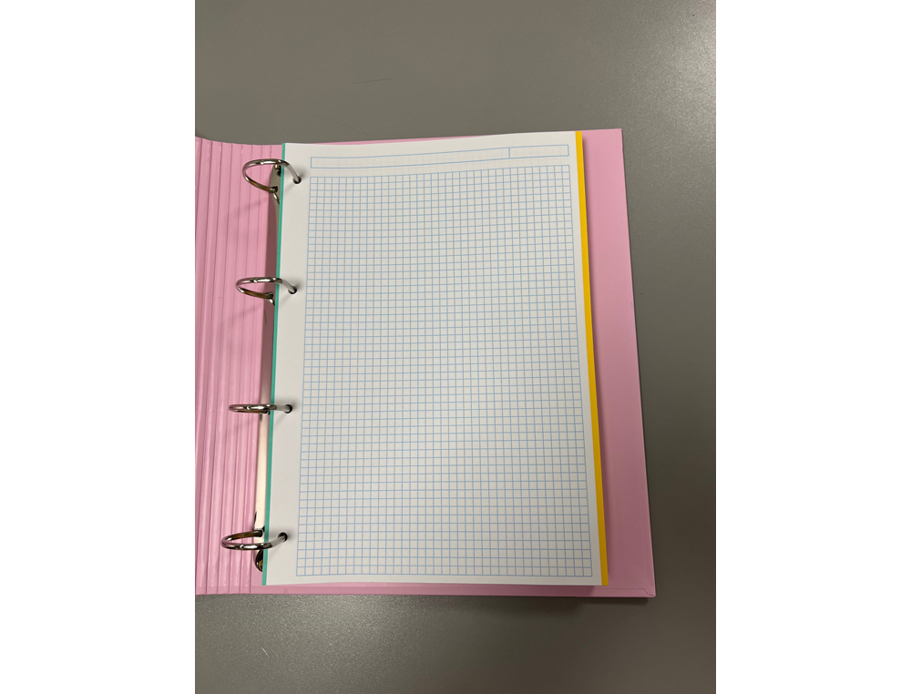 CARPETA 4 ANILLAS DE 35 MM PARDO CARTON FORRADO TOUCH DIN A4 CON RECAMBIO 120 HOJAS 90 GR ROSA PASTEL