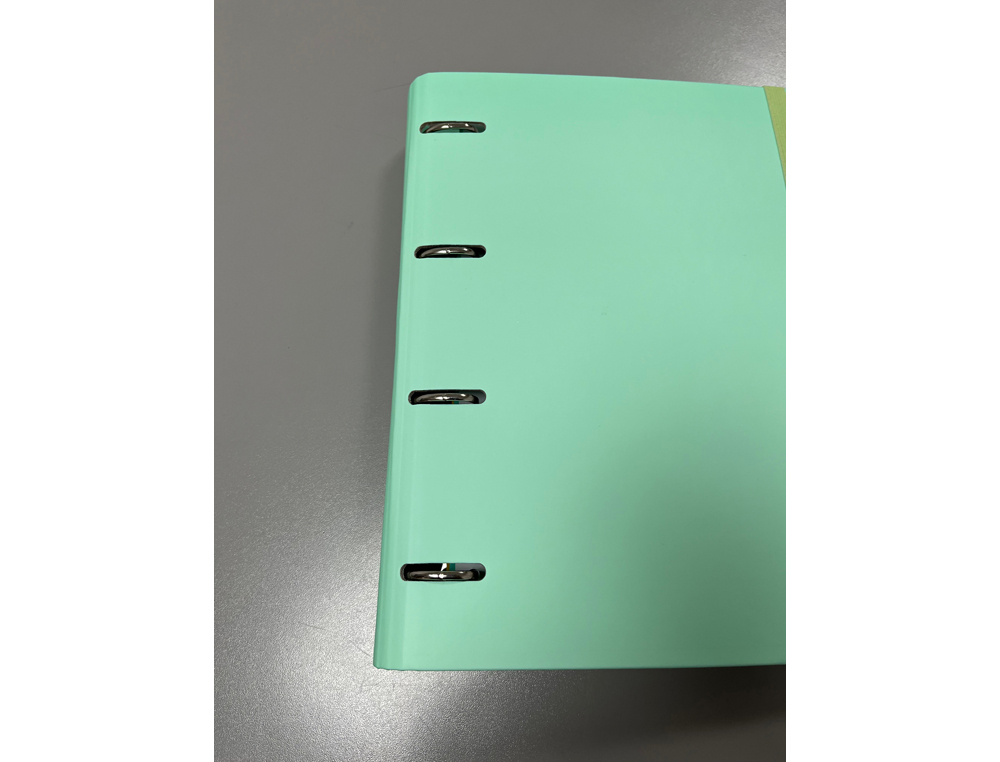 CARPETA 4 ANILLAS DE 35 MM PARDO CARTON FORRADO TOUCH DIN A4 CON RECAMBIO 120 HOJAS 90 GR VERDE PASTEL