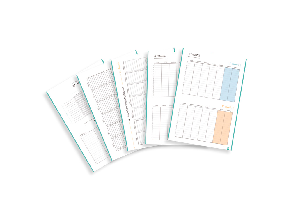 CARPETA CARPEBLOCK CARCHIVO DIN A4 FOAM CON RECAMBIO BONUS 360 STYLE COLORES SURTIDOS