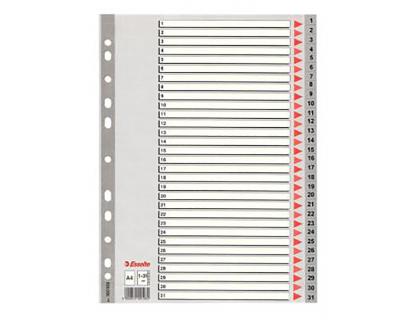 SEPARADOR NUMERICO ESSELTE PLASTICO 1-31 JUEGO DE 31 SEPARADORES FOLIO MULTITALADRO
