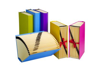 CLASIFICADOR FUELLE CARCHIVO CARTONFORRADO FASHION FOLIO FUCSIA