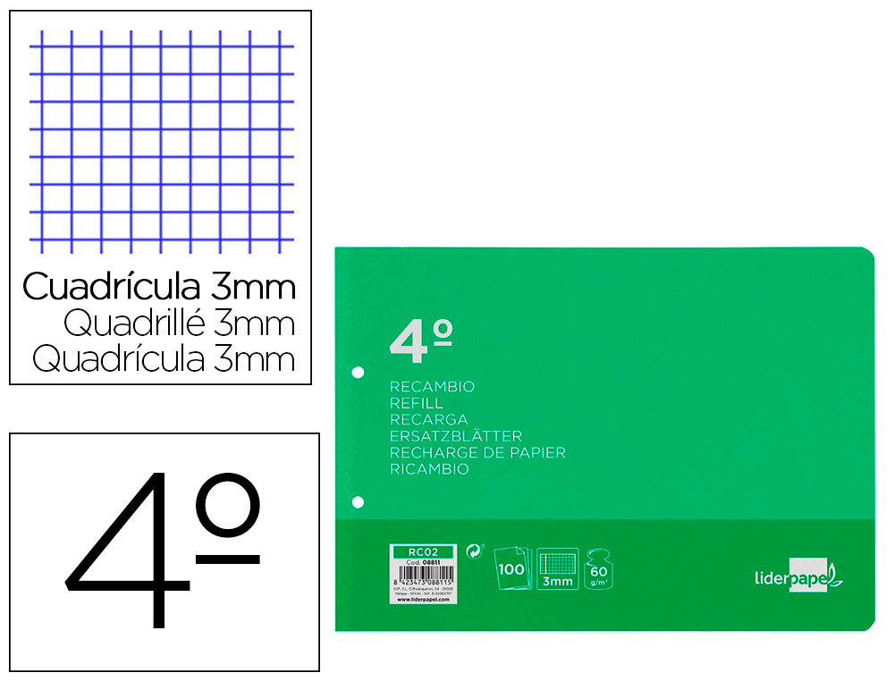 RECAMBIO LIDERPAPEL CUARTO APAISADO 100 H 2TCA-06 CUADRO 3 MM 2 TALADROS CON MARGEN