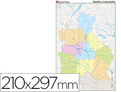 MAPA MUDO COLOR DIN A4 CASTILLA-LEON POLITICO
